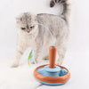 2-in-1-Katzenspielzeug für Haustiere